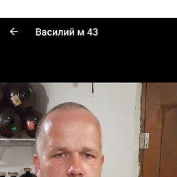 , 43, 