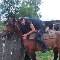 ��������, �����, 43 ����