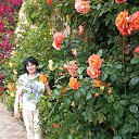 ���� ����, �������, 52 ���� - ��������� 7 ������ 2025