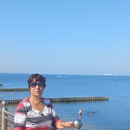 , 61, 