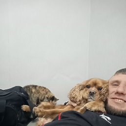 �����, ������, 37 ���