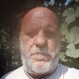 , , 50 