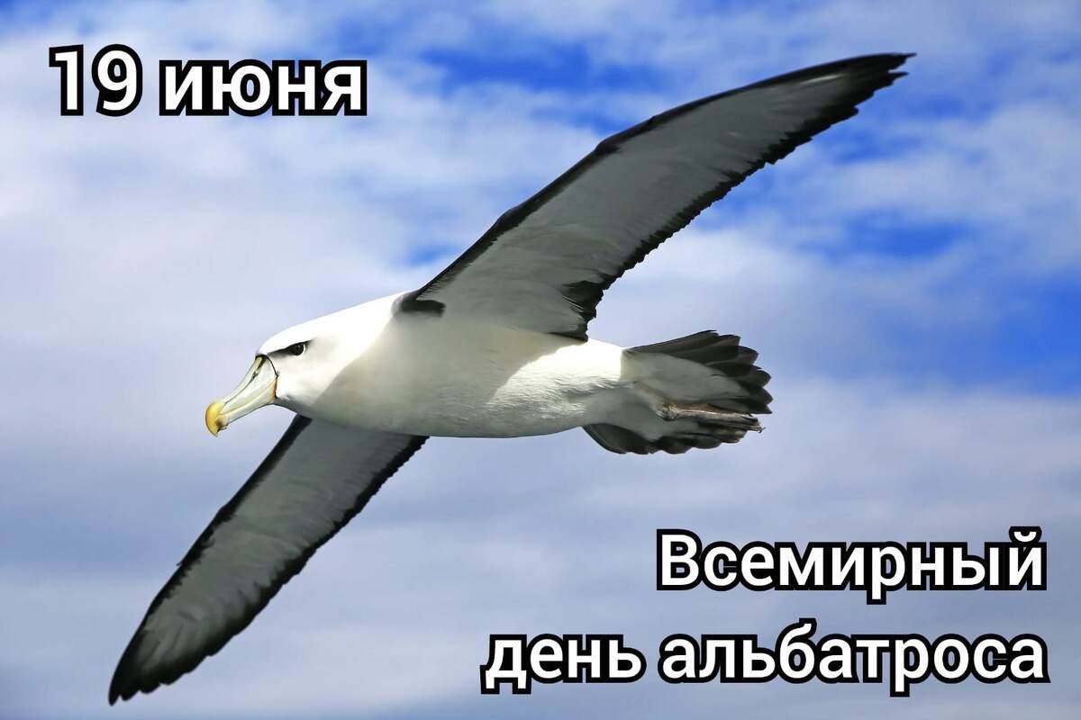 : , , , ,  - 5