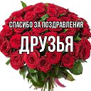 ���� ����, ��������� - ��������� 15 ������ 2026 � ������ ������ ��������