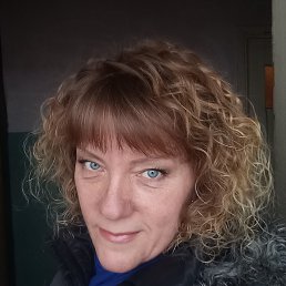 ���� ������, ������, 50 ��� - ��������� 14 ����� 2026