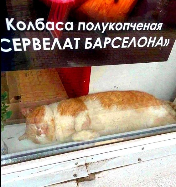 ,  -...