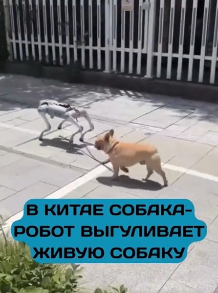 ��ae po�o-�c �a�e��e� �o����a � �������ae� �ac�o���� co�a��. ��ae �o����oc� ���eo, ��e po�o-�c ...