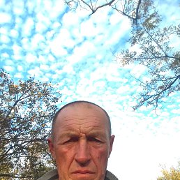 , 53, 