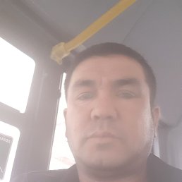 , 41, 