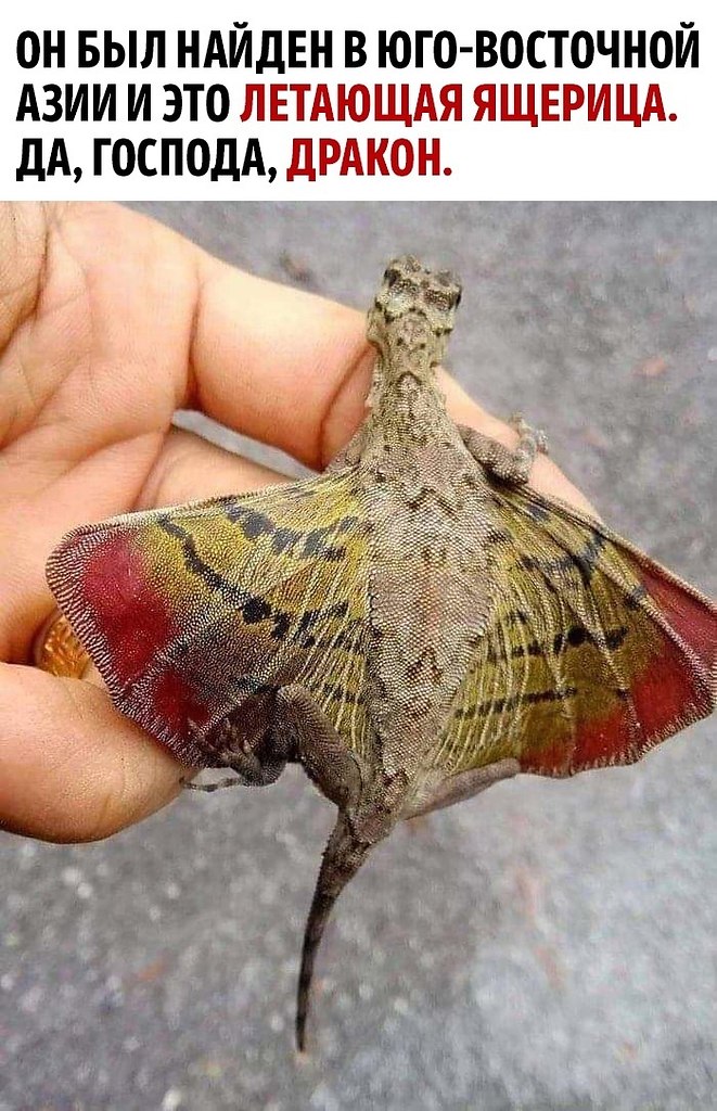    ,      ,    ...