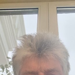 ��������, 56 ���, ����