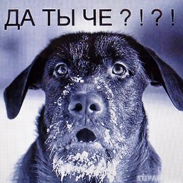 ���� Michel, �������, 68 ��� - ��������� 16 ������� 2024