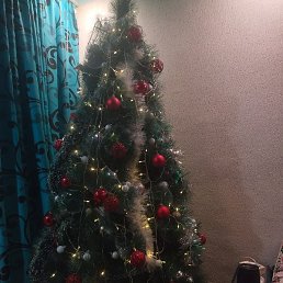 ���, ������, 36 ���