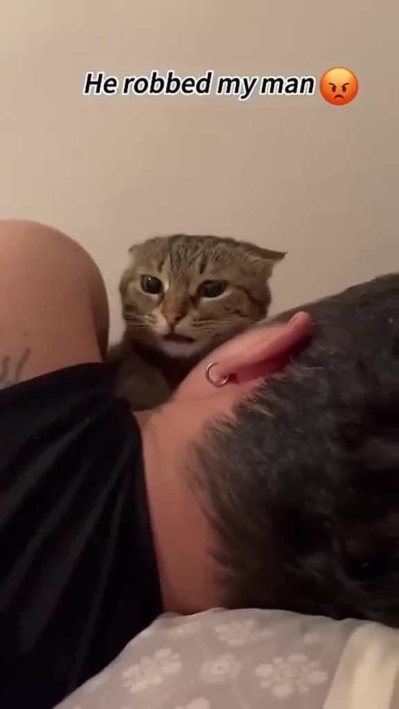      ..