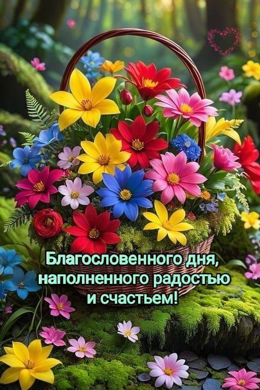   ,    . - 29  2025  11:24