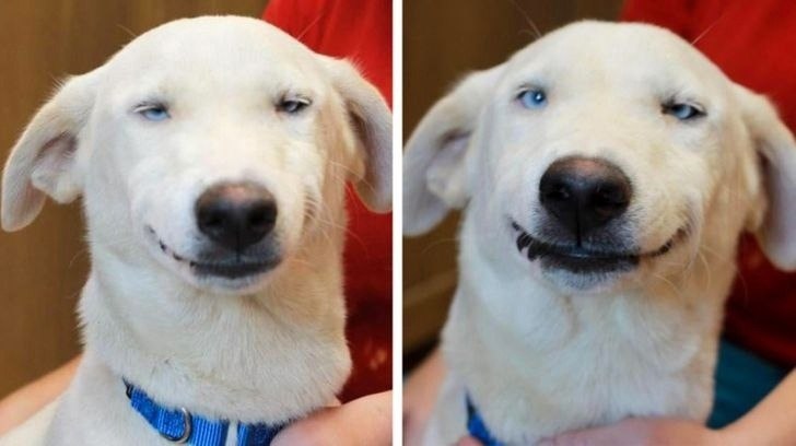  .    ,    .         ...