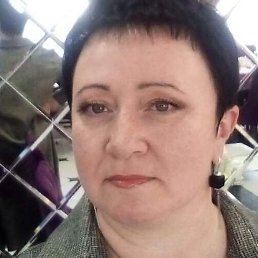 �����, ������, 50 ���