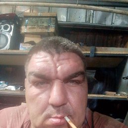 , 37, 