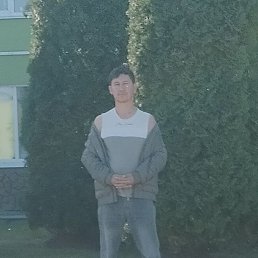 , 33, 