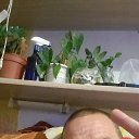  ,  -  23  2024