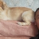 ���� Ruslan, �����, 32 ���� - ��������� 6 ������ 2024 � ������ ���� ����������