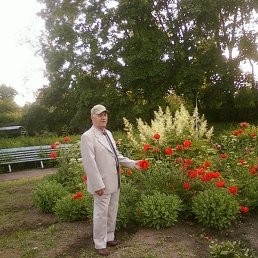 ������, ���������, 84 ����