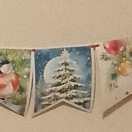 ����, ����, 51 ���