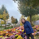 24.10.2024 �� ������� ���� ����������