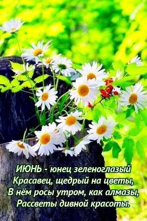   - 1  2024  09:19