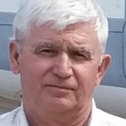 ����, �������, 65 ���