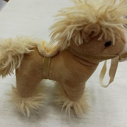 Фото Анастасия, Всеволожск, 32 года Анастасия, Всеволожск, 32 года