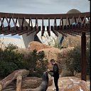 ���� Vika, ���� - ��������� 19 ������ 2026 � ������ ������ ��������, �������.�