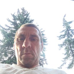 , 45 , 