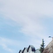 Murat, 24 , 