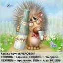 ���� ���� ����, �������, 61 ��� - ��������� 24 ����� 2026 � ������ ������ ��������