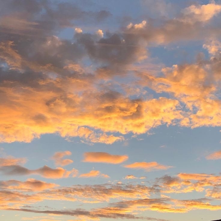          :   1. The clouds are ... - 3