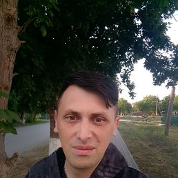 , 34, 