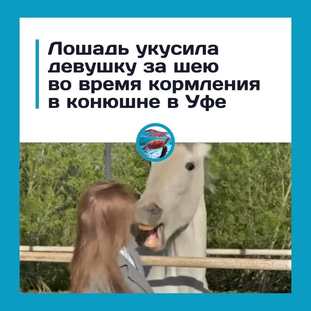 ������ ������ �� ������� � ������� ���.� ������� � ��� ������ ���������� ������� ������� �� ��� �� ...