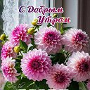 ���� �����, ����������� - ��������� 27 ������� 2025 � ������ ������ ��������