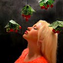 ���� ����, �������, 37 ��� - ��������� 16 ������� 2025 � ������ ���� ����������