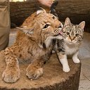 ���� ��������, ���� - ��������� 6 ������ 2025