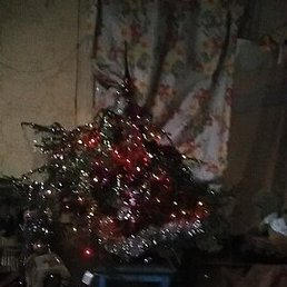 ������, �����-���������, 42 ����