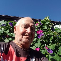 ����, �����, 75 ���