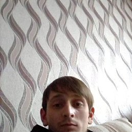 , 33, 