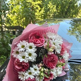 ���� ��������, ������ ��������, 38 ��� - ��������� 5 ������ 2026