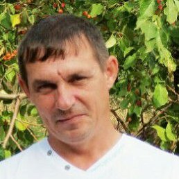 ���� ����, ������������, 48 ��� - ��������� 8 ������ 2024