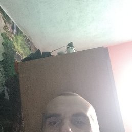 , , 38 