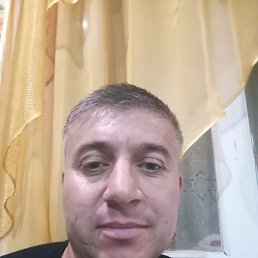 , 34, 