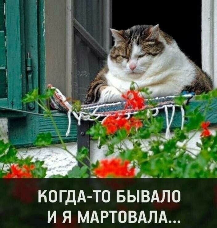  - 8  2025  07:20