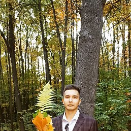 , 33, 